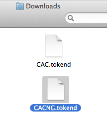 actualdownloads image
