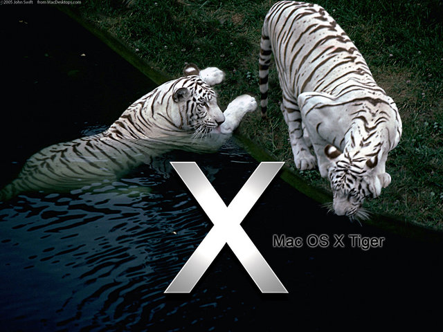 Mac OS X Tiger image